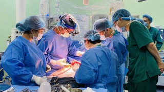 Điều kỳ diệu đến từ “những mảnh gan đỏng đảnh”