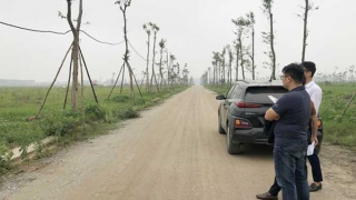 Khi "cò" đất trở thành "cuội" đất