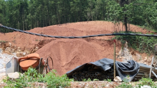 Báo cáo việc công ty ngang nhiên bạt núi lấn chiếm hàng ngàn m2 đất rừng