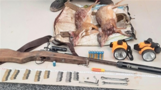 Ngang nhiên rủ nhau vác súng vào rừng cấm để săn bắt động vật hoang dã