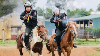 Chuyện mới ở Đoàn Cảnh sát cơ động Kỵ binh