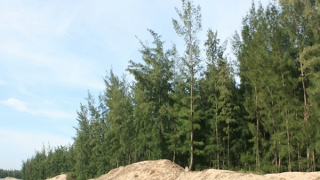 Sau 10 năm vẫn ì ạch việc giao hơn 30.000ha đất rừng cho người dân