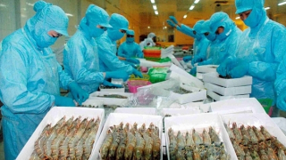 Hàng Việt Nam đã có chỗ đứng nhất định tại thị trường Australia