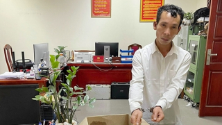 Mang kìm phá két trộm cả trăm triệu đồng tiền công đức chùa Tứ Giáp