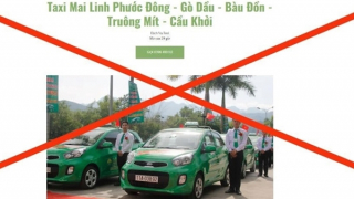 Xử phạt 3 đối tượng mạo danh doanh nghiệp vận tải