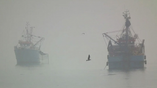 Đề phòng sương mù trên biển