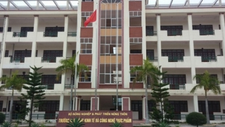 Dâm ô bạn cùng trường, 2 nam sinh Hải Phòng bị bắt khẩn cấp