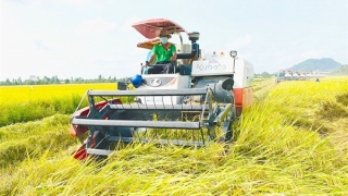 Tiếp sức cho hợp tác xã nông nghiệp