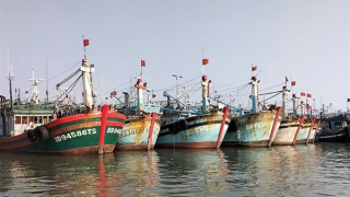 Tập trung tháo gỡ "điểm nghẽn" IUU