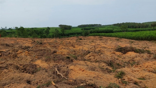 Nguyên chủ tịch xã lợi dụng việc khai thác để “cạo trọc” rừng