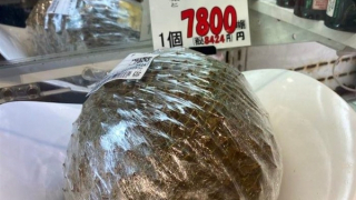 Sầu riêng Việt Nam bán chạy tại Nhật Bản