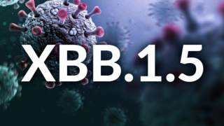 Xuất hiện biến thể phụ XBB.1.5, TP Hồ Chí Minh sẵn sàng kích hoạt bệnh viện dã chiến