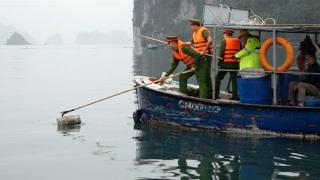 Quảng Ninh ra "hạn chót" hoàn thành thu gom phao xốp trôi nổi trên biển