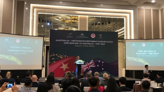 “Chúng tôi thấy được nhiều cơ hội đầu tư tại Việt Nam”