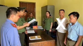 Khởi tố đối tượng tự ý thu tiền chuyển đổi cây trồng