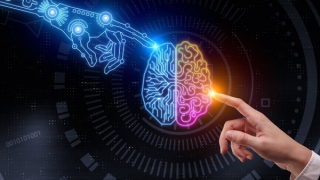 Hậu lí thuyết và tương lai của phê bình