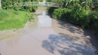 Phạt 90 triệu đồng với doanh nghiệp xả thải gây ô nhiễm sông Buông