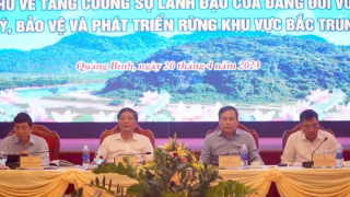 Tăng cường sự lãnh đạo của Đảng đối với công tác bảo vệ và phát triển rừng