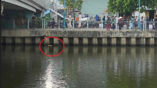 Người phụ nữ sống dưới gầm cầu tử vong trên mặt kênh