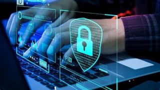 Dữ liệu cá nhân cơ bản và dữ liệu cá nhân nhạy cảm