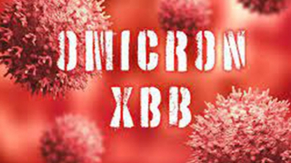 TP Hồ Chí Minh phát hiện thêm nhiều biến thể phụ mới của Omicron