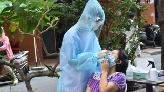 Ca mắc COVID-19 và bệnh nhân nặng đều giảm