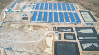 Tiếng kêu cứu ở nơi hàng ngàn người dân phải bịt mũi bằng lá chanh cả ngày