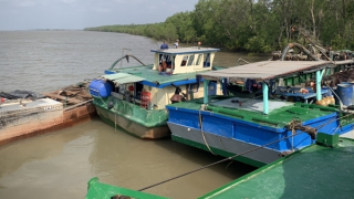 Lập đường dây nóng, mở cao điểm xử lý vi phạm khai thác cát trái phép