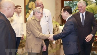 Quan hệ Việt Nam - Mỹ Latinh bắt nguồn từ tư tưởng độc lập - tự do