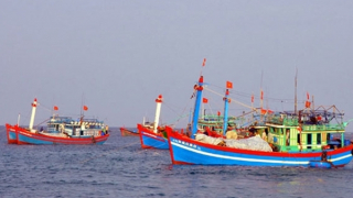 Hội Nghề cá Việt Nam phản đối Trung Quốc cấm đánh bắt cá ở Biển Đông