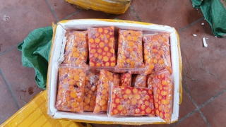 Lộ diện gần 1 tấn tràng trứng bốc mùi chuẩn bị “tập kích” nhà hàng, quán nhậu