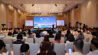 Hợp tác Hàng không - Du lịch: Giải pháp thu hút khách quốc tế