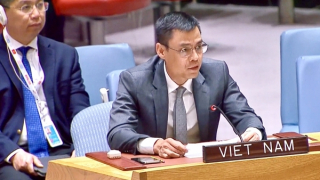 Các quốc gia phải có trách nhiệm tuân thủ Hiến chương Liên hợp quốc