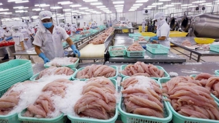 Gỡ khó cho doanh nghiệp sản xuất, xuất khẩu