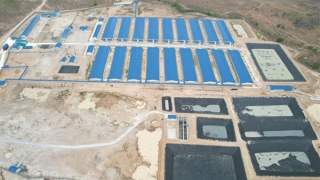 Báo cáo định kỳ hằng tháng kết quả giám sát môi trường các dự án chăn nuôi