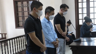 Bác kháng cáo của Công ty Tôn Phương Nam trong vụ "phù phép" tôn trôi nổi