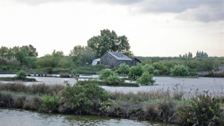 Phó trưởng Công an xã ở Cà Mau gặp tai nạn mất tích khi làm nhiệm vụ