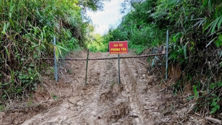 3 người chết ngạt trong hầm khai thác vàng lậu