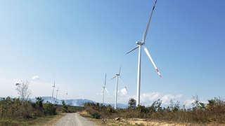 Công an điều tra vụ xây dựng điện gió trên đất rừng tự nhiên