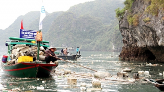 Phao xốp ngập tràn trên biển Quảng Ninh