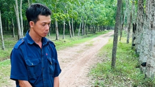 Giả vờ hỏi mua phân bò rồi chích roi điện, giật dây chuyền