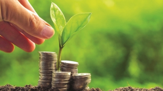 Doanh nghiệp đầu tư khoảng 9 tỷ USD vào tăng trưởng xanh tại Việt Nam