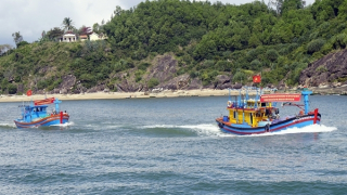 Ngư dân miền Trung vững vàng vươn khơi