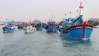 Gỡ "thẻ vàng" IUU: Tàu cá khẩn trương lắp đặt thiết bị giám sát hành trình