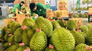 Để nông sản Việt chinh phục thị trường 1,5 tỷ người