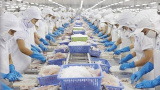 Nghiên cứu, đề xuất gói tín dụng 10.000 tỷ đồng hỗ trợ doanh nghiệp lâm, thủy sản