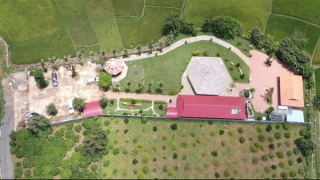 Kỷ luật cảnh cáo Chủ tịch UBND xã để xây biệt phủ trên đất nông nghiệp