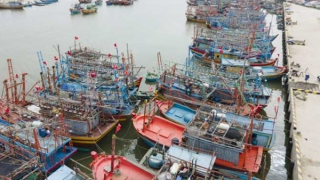 Nhiều giải pháp chống khai thác IUU, gỡ “Thẻ vàng” trong đánh bắt thuỷ sản