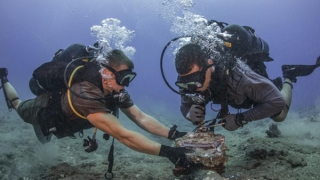 2 tuyến cáp quang biển kết nối Việt Nam với quốc tế đã được khôi phục