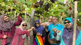 Tổ chức Lễ hội Nho – Vang, hướng đến phát triển kinh tế du lịch ở Ninh Thuận